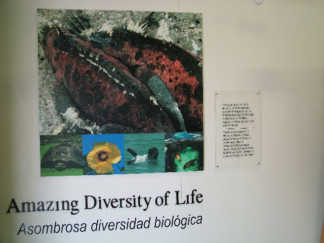 DSCF1716.JPG