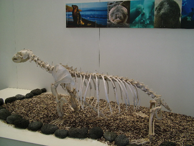 DSCF1718.JPG