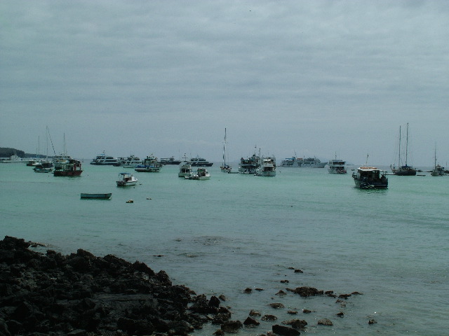 DSCF1739.JPG