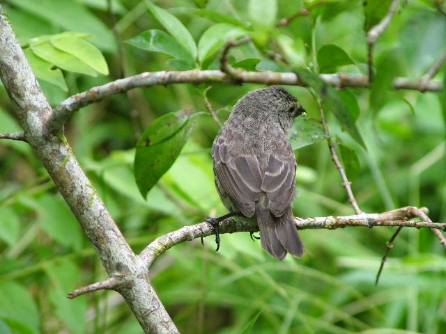 DSCF1747.JPG