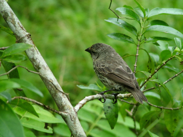 DSCF1748.JPG