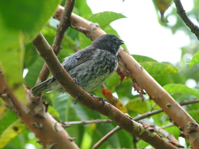 DSCF1751.JPG