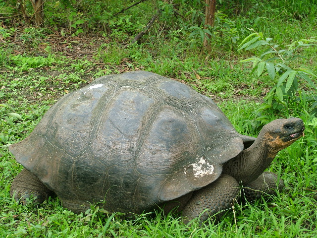 DSCF1754.JPG
