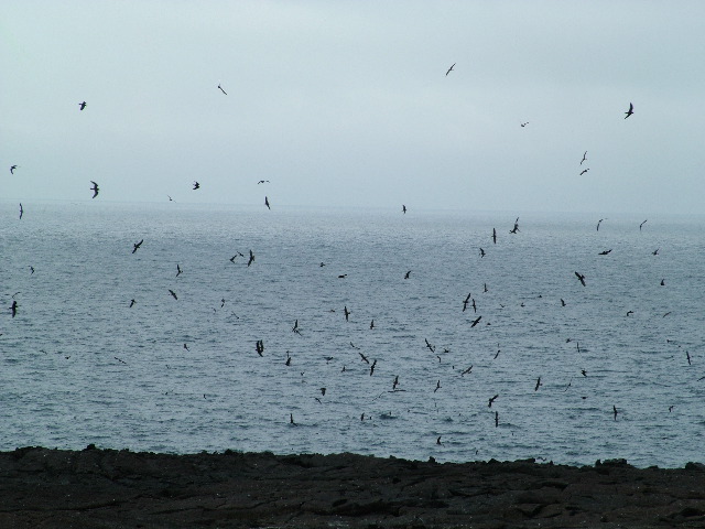 DSCF1216.JPG