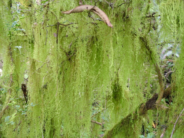 DSCF1757.JPG