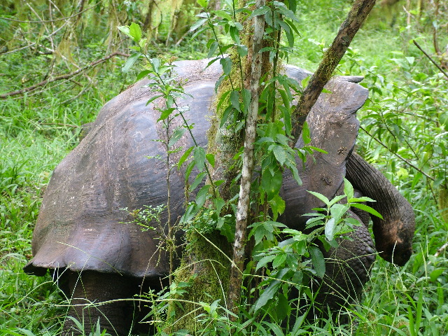 DSCF1760.JPG