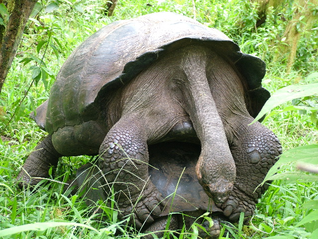 DSCF1763.JPG