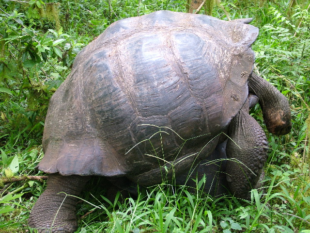 DSCF1774.JPG