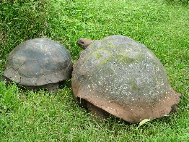 DSCF1777.JPG
