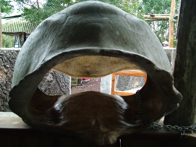 DSCF1779.JPG