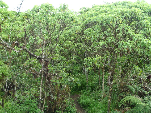 DSCF1801.JPG