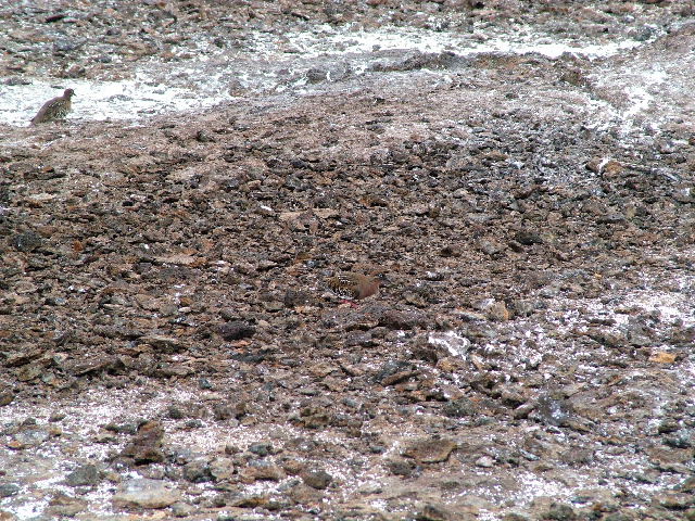 DSCF1225.JPG