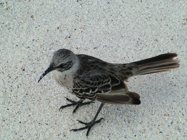 DSCF1814.JPG