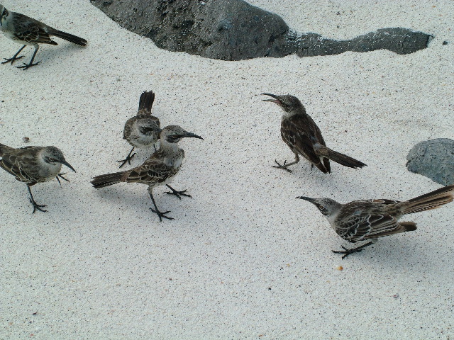 DSCF1819.JPG