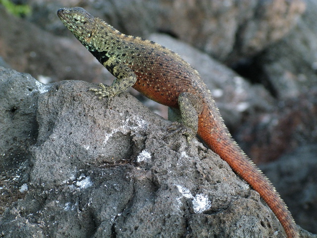 DSCF1831.JPG