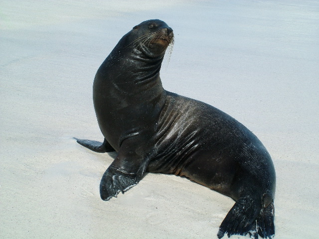 DSCF1839.JPG
