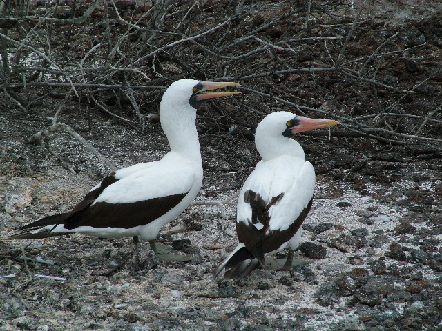 DSCF1227.JPG