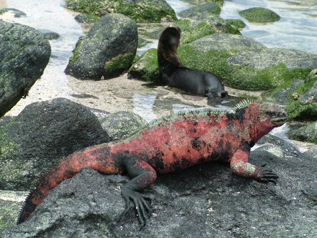 DSCF1851.JPG