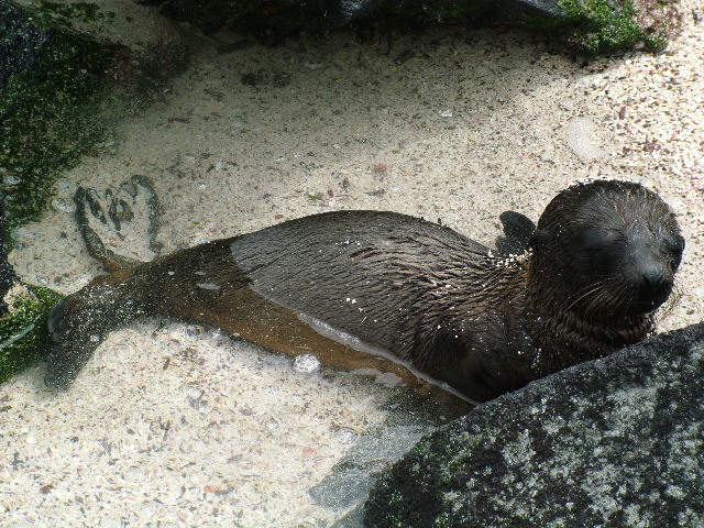 DSCF1852.JPG