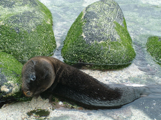 DSCF1855.JPG