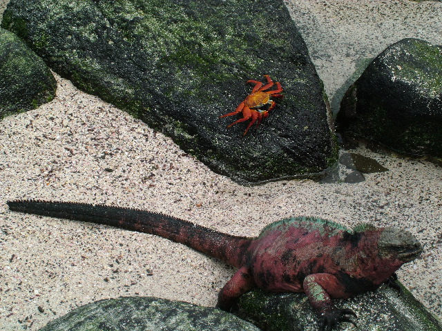 DSCF1857.JPG