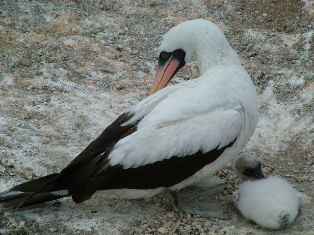 DSCF1229.JPG