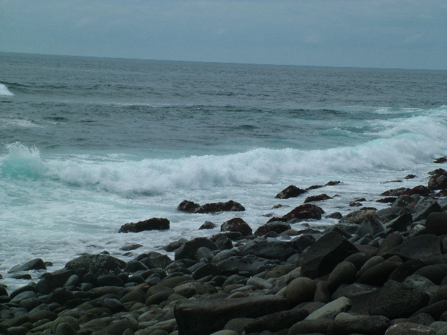 DSCF1870.JPG