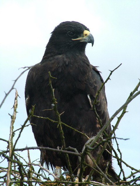 DSCF1888.JPG