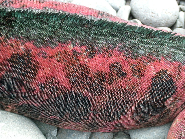 DSCF1897.JPG