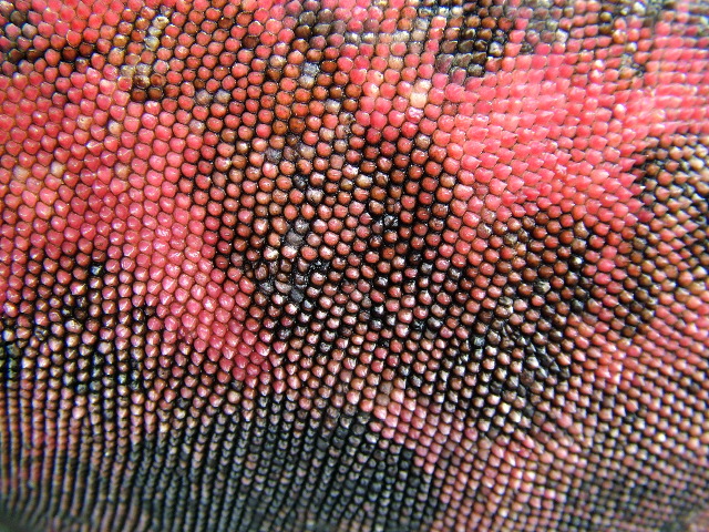 DSCF1899.JPG