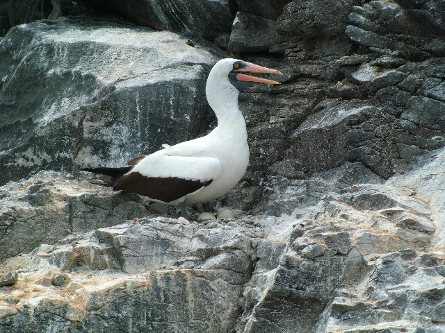 DSCF1900.JPG