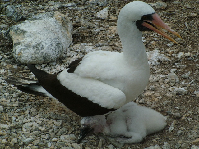 DSCF1903.JPG