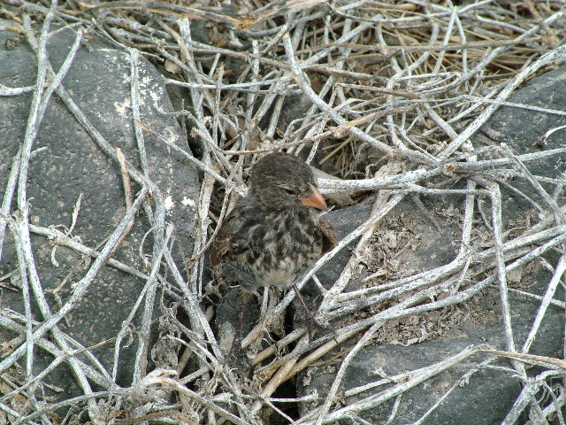 DSCF1910.JPG