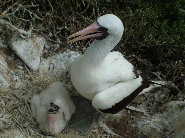 DSCF1913.JPG