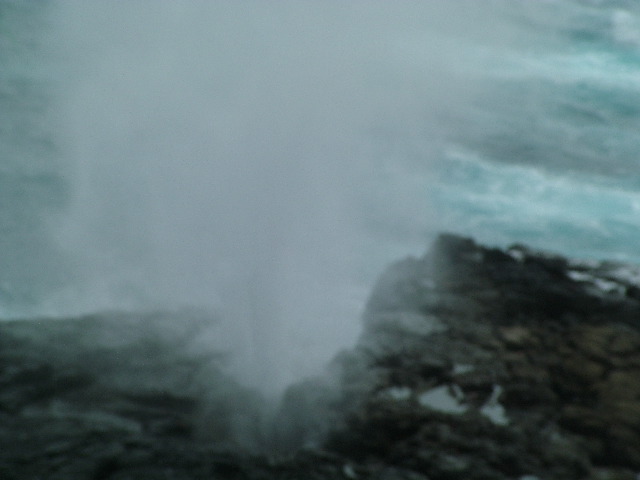 DSCF1914.JPG