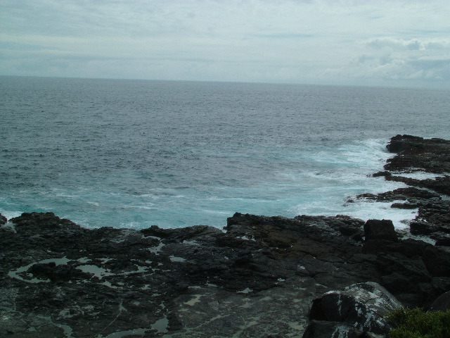 DSCF1920.JPG