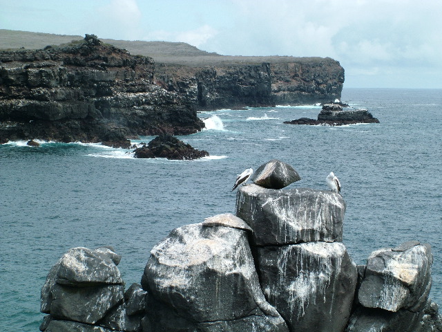 DSCF1921.JPG