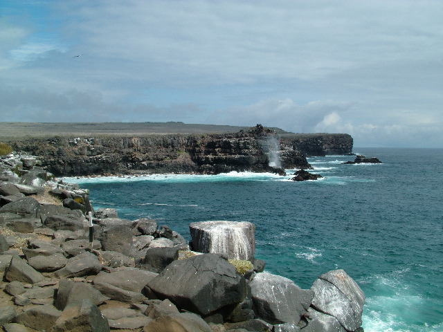 DSCF1932.JPG