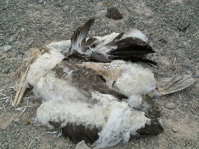 DSCF1241.JPG