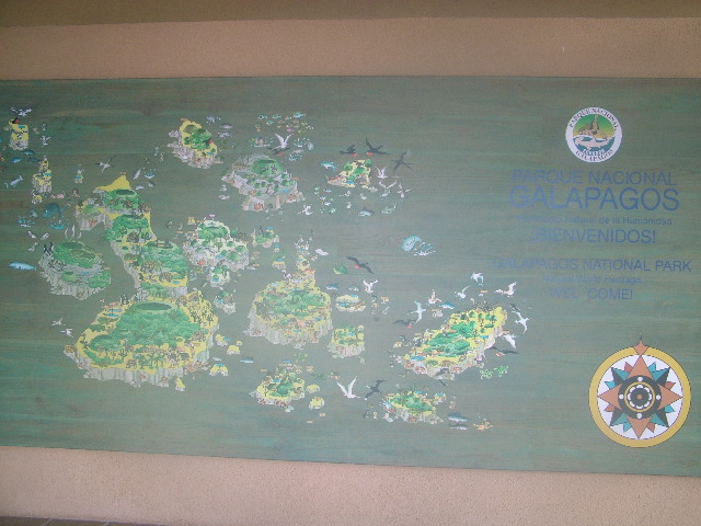 DSCF1954.JPG