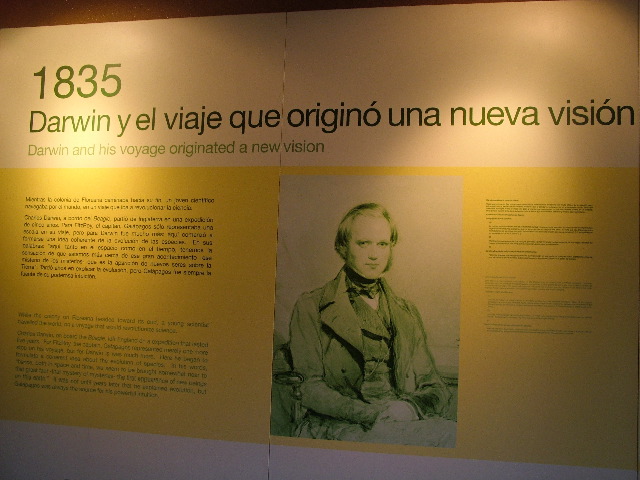 DSCF1959.JPG