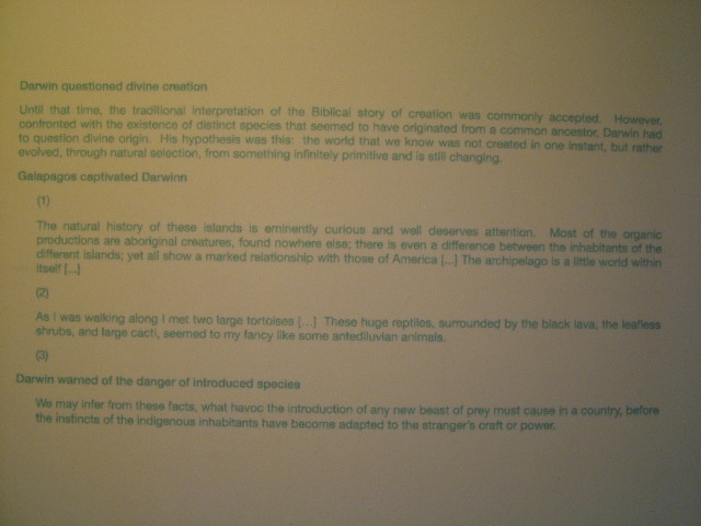 DSCF1960.JPG