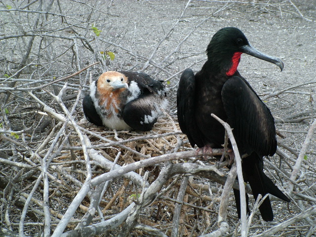 DSCF1242.JPG