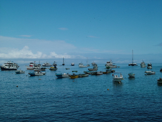 DSCF1967.JPG