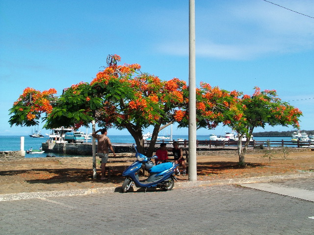 DSCF1969.JPG