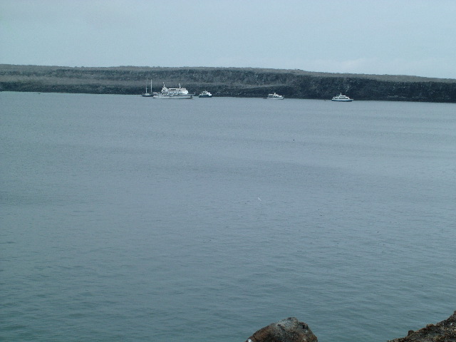 DSCF1243.JPG