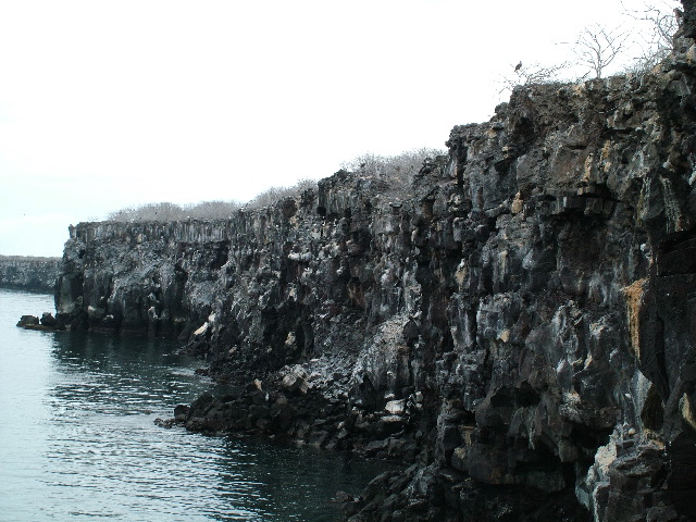 DSCF1244.JPG