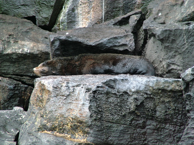 DSCF1247.JPG