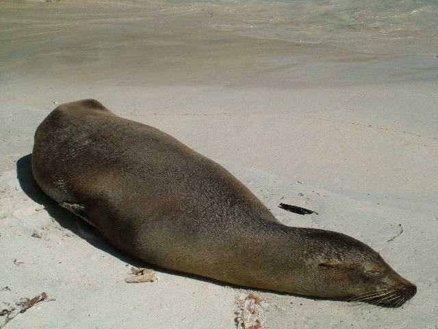DSCF1250.JPG