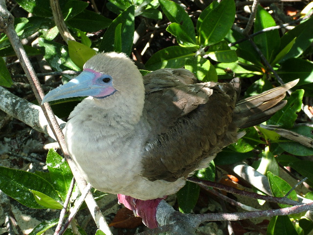 DSCF1258.JPG